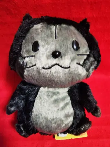 쁘띠라스칼 블랙 컬러 BIG 봉제 인형 라스칼