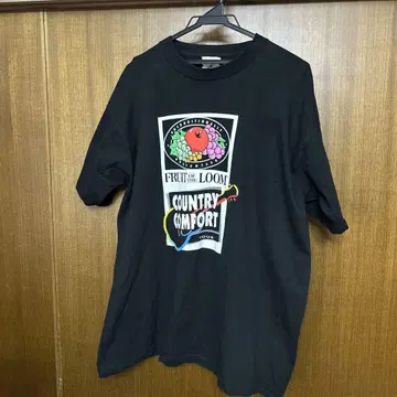 프룻 오브 더 룸 T셔츠 USA제