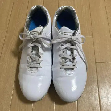 ZETT 화이트 스파이크