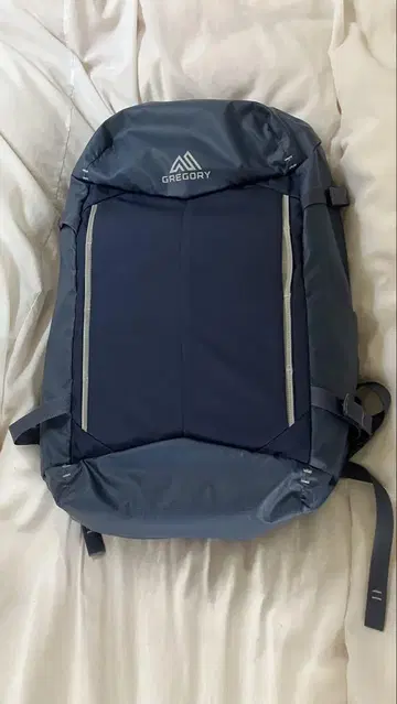 GREGORY COMPASS 30 백팩 네이비