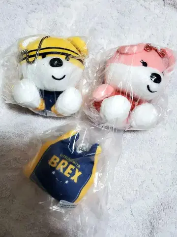 브레키 베리 유니폼
