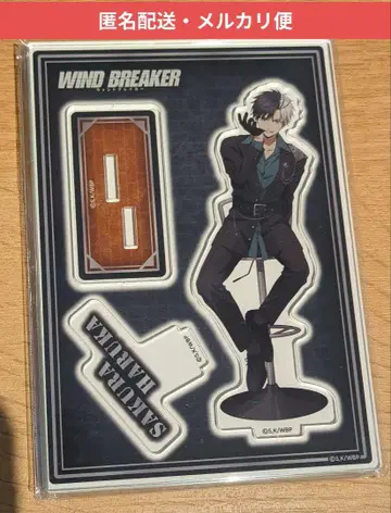 WIND BREAKER 윈브레 페어 로프트 아크릴 스탠드 사쿠라 하루카