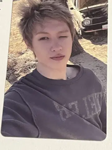 CORTIS 마틴 weverse 특전 외 포토카드 세트