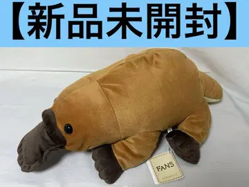 오리너구리 봉제 인형 XL 프리미엄