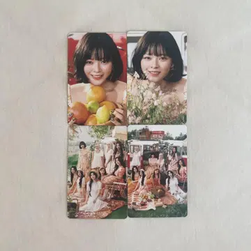 TWICE 정연 TWICE5 트레이딩 카드 컴플리트
