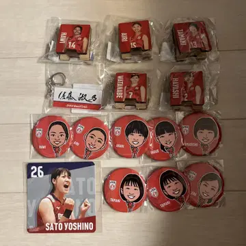 배구 여자 일본 대표 사토 요시노 키링 코스터 기타 선수 굿즈
