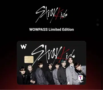 스키즈 Stray Kids WOWPASS 와오패스