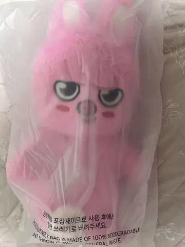 SKZOO 테디베어 창빈 돼끼