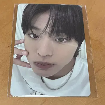 nctwish 리쿠 트레이딩 카드 musinsa