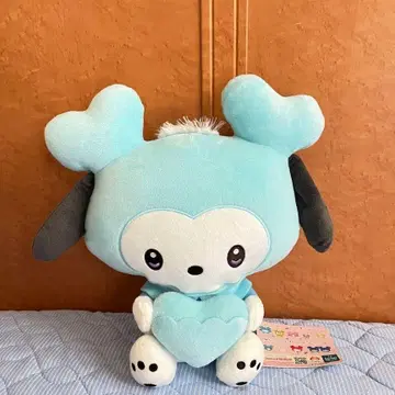 선착순 TWICE 포켓 BIG 봉제 인형 gigo 산리오 나연