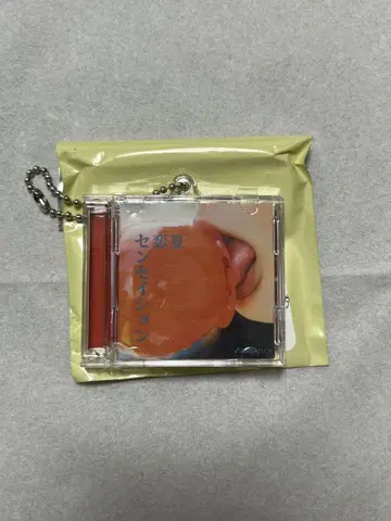 마카로니 연필 CD 키링
