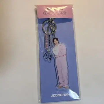 SEVENTEEN 정한 아크릴 키링