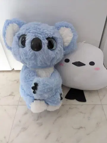꽉 안아줘! 심쿵! 코알라