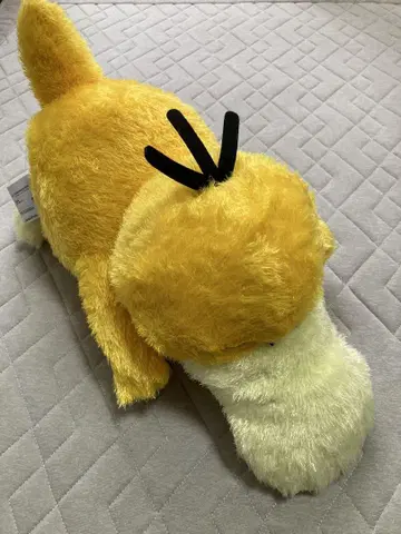 포켓몬스터 메챠모후굿토 쿠츠로기 타임 봉제 인형 코닥