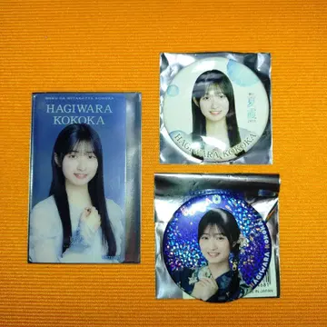 내가 보고 싶었던 푸른 하늘 하라카와 코하네