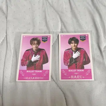 마사히로 하루 Invitation card 묶음 판매