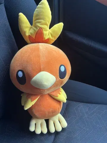 아차모 봉제 인형 약 30cm