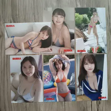 혼고 유즈하 엽서 6장