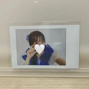 마스다 아야노 온특 빙고 해파리 의상 프린트 폴라로이드