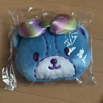 타이니 참 패스 케이스