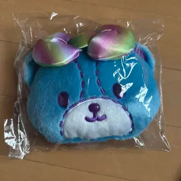 타이니 참 패스 케이스