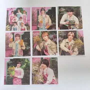 나니와단시 정사각형 사진 Spring 나고야점 한정판 8장 세트
