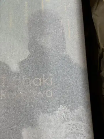 루리카와 츠바키 피규어