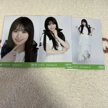 셔링 원피스 카와사키 벚꽃 컴프