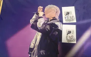멜트