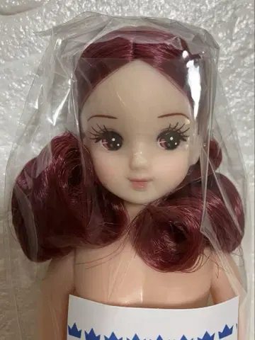 리카짱 캐슬 즐거운 인형 미이짱