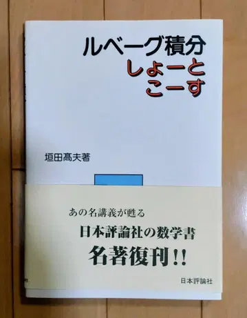 르베그 적분 쇼트 코스
