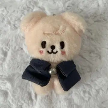 Straykids 승민 퍼핌 magicschool 10cm