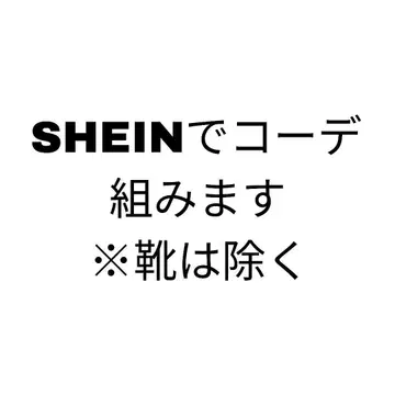 SHEIN 코디 제안 (신발 제외)