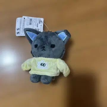 피하이