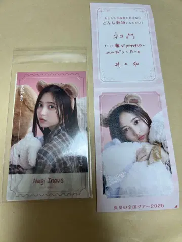 노기자카 노기메쿠리 B상 꽝권 포함 이노우에 나기사