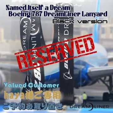 이름에 꿈을 담은 비행기 보잉 B787 드림라이너 넥스트랩