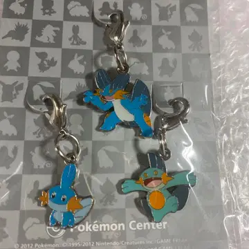 포켓몬 센터 미즈고로우 누마쿠로 라그라지 메탈 참