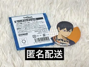 하이큐 팝업 캔뱃지 C 카게야마