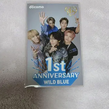 WILD BLUE 1ST ANNIVERSARY TGC20th 스티커