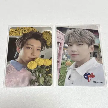 SEVENTEEN 원우 your choice 포토카드 세트