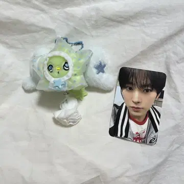 NCTWISH 미니위츄 유우시 트레이딩 카드 세트