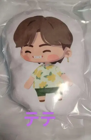 BTS 스시로 인더섬 당선품 쿠션 V 태태