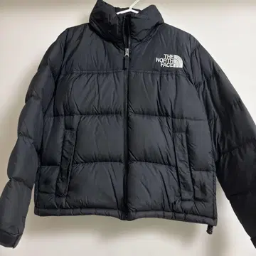 THE NORTH FACE 눕시 다운 자켓