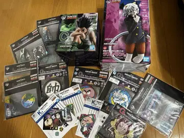 HUNTER x HUNTER 제일복권 네페르피토 곤