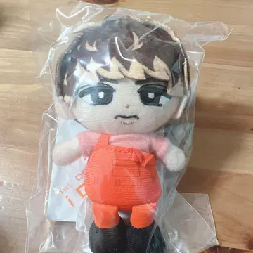 무카이 코지 스노우 칠
