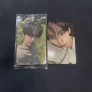유진 트레이딩 카드
