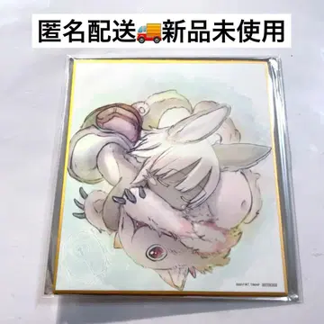 나나치 미티 색지