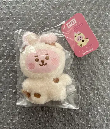 BT21 COOKY 타튼 마스코트 스코티시 폴드