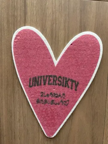 박형식 형식 팬미팅 하트 낙하물 UNIVERSIKTY