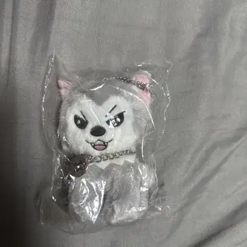 초특급 슈야 슈가르 마스코트 생탄 슈가르